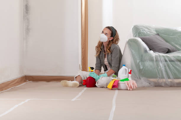 Reliable Mold Remediation contractor in Germantown, IL by WQB Mold Removal
